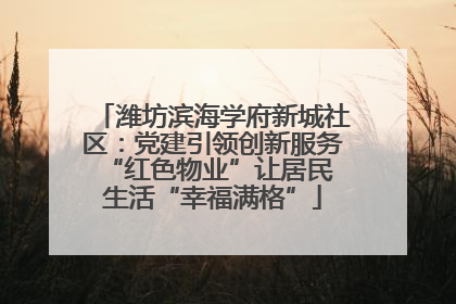 潍坊滨海学府新城社区：党建引领创新服务 “红色物业”让居民生活“幸福满格”