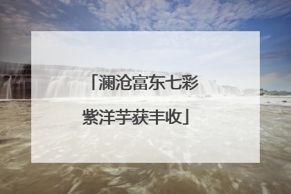 澜沧富东七彩紫洋芋获丰收