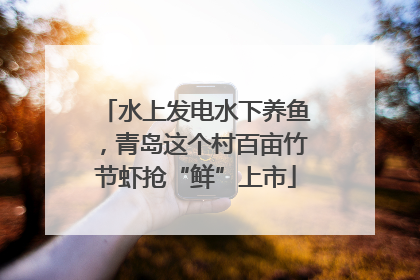 水上发电水下养鱼，青岛这个村百亩竹节虾抢“鲜”上市