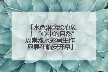 水色淋漓绘心象！“心中的自然”周崇涨水彩写生作品展在临安开幕
