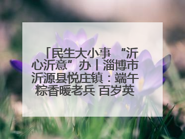 民生大小事 “沂心沂意”办丨淄博市沂源县悦庄镇：端午粽香暖老兵 百岁英雄述峥嵘