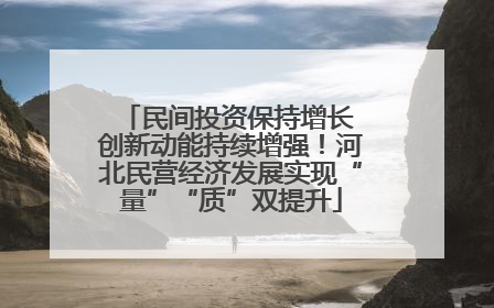 民间投资保持增长 创新动能持续增强！河北民营经济发展实现“量”“质”双提升
