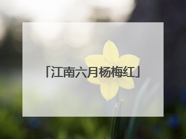 江南六月杨梅红