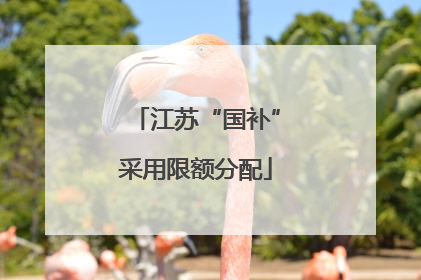 江苏“国补”采用限额分配