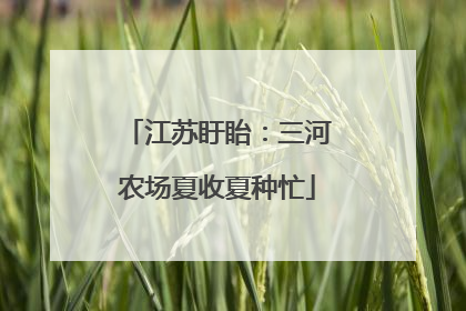 江苏盱眙：三河农场夏收夏种忙
