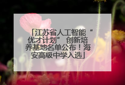 江苏省人工智能“优才计划” 创新培养基地名单公布！海安高级中学入选