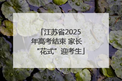 江苏省2025年高考结束 家长“花式”迎考生