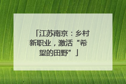 江苏南京：乡村新职业，激活“希望的田野”