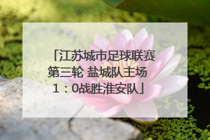 江苏城市足球联赛第三轮 盐城队主场1：0战胜淮安队