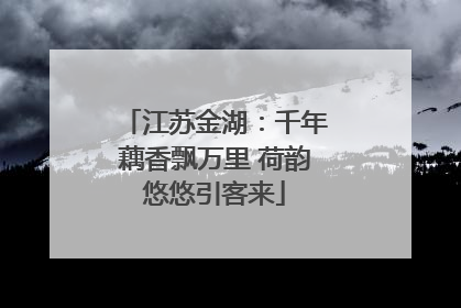 江苏金湖：千年藕香飘万里 荷韵悠悠引客来