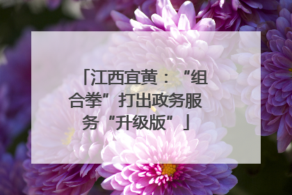 江西宜黄：“组合拳”打出政务服务“升级版”