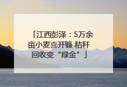 江西彭泽：5万余亩小麦喜开镰 秸秆回收变“绿金”