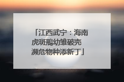 江西武宁：海南虎斑鳽幼雏破壳 濒危物种添新丁