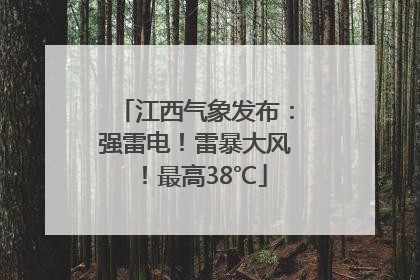 江西气象发布：强雷电！雷暴大风！最高38℃