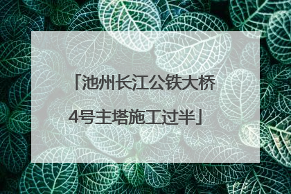 池州长江公铁大桥4号主塔施工过半