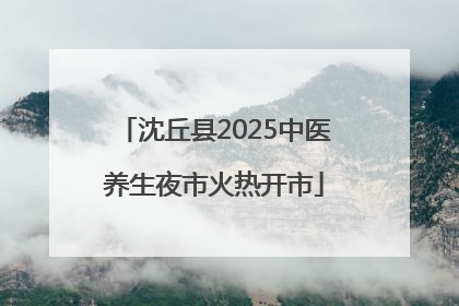 沈丘县2025中医养生夜市火热开市