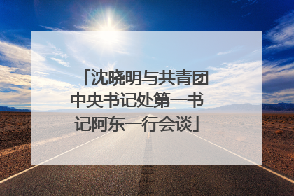 沈晓明与共青团中央书记处第一书记阿东一行会谈