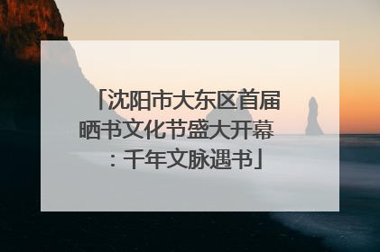 沈阳市大东区首届晒书文化节盛大开幕：千年文脉遇书