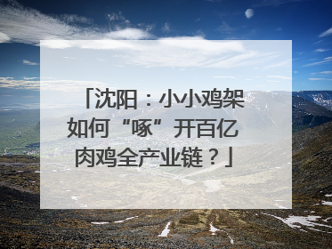 沈阳：小小鸡架如何“啄”开百亿肉鸡全产业链？