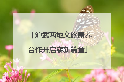 沪武两地文旅康养合作开启崭新篇章