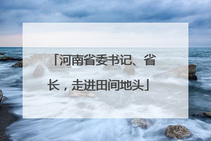 河南省委书记、省长，走进田间地头
