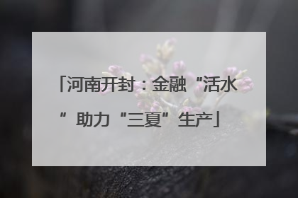 河南开封：金融“活水”助力“三夏”生产