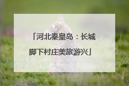 河北秦皇岛：长城脚下村庄美旅游兴