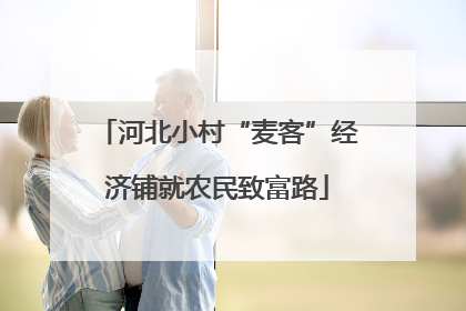 河北小村“麦客”经济铺就农民致富路
