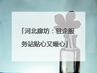 河北廊坊：驻企服务站贴心又暖心