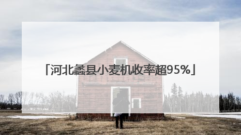 河北蠡县小麦机收率超95%