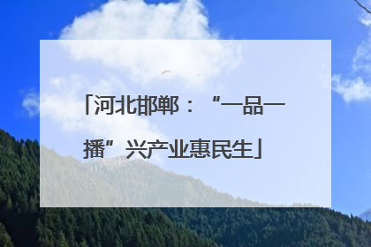河北邯郸：“一品一播”兴产业惠民生