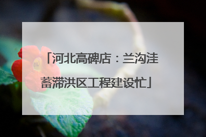 河北高碑店：兰沟洼蓄滞洪区工程建设忙