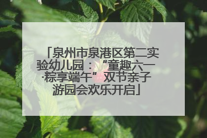 泉州市泉港区第二实验幼儿园：“童趣六一·粽享端午”双节亲子游园会欢乐开启