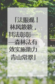 法眼观丨林风簌簌，其法彰彰——森林法有效实施助力青山常翠
