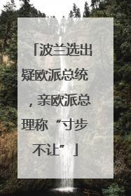 波兰选出疑欧派总统，亲欧派总理称“寸步不让”