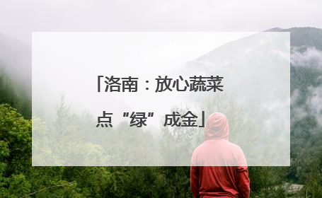 洛南：放心蔬菜点“绿”成金