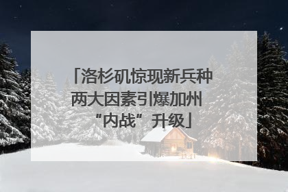 洛杉矶惊现新兵种 两大因素引爆加州“内战”升级