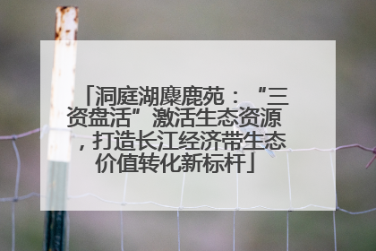 洞庭湖麋鹿苑：“三资盘活”激活生态资源，打造长江经济带生态价值转化新标杆