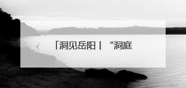洞见岳阳丨“洞庭渔歌小镇”何以书写文旅融合新范式