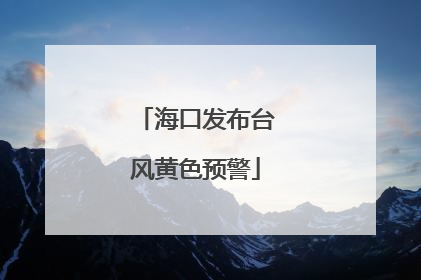 海口发布台风黄色预警