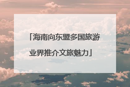 海南向东盟多国旅游业界推介文旅魅力