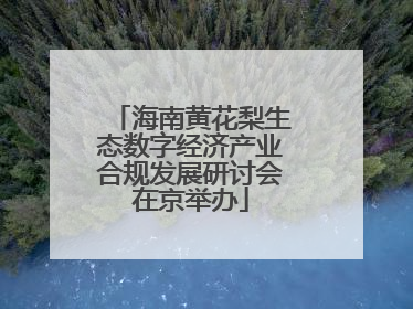 海南黄花梨生态数字经济产业合规发展研讨会在京举办