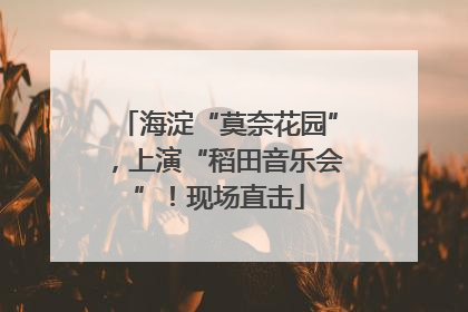 海淀“莫奈花园”，上演“稻田音乐会”！现场直击