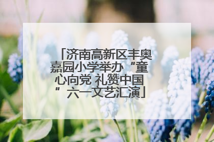 济南高新区丰奥嘉园小学举办“童心向党 礼赞中国”六一文艺汇演
