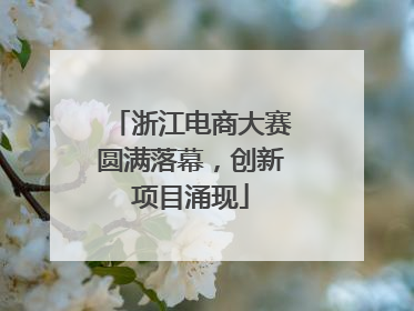 浙江电商大赛圆满落幕，创新项目涌现