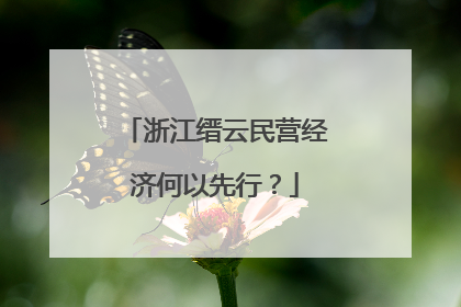 浙江缙云民营经济何以先行？