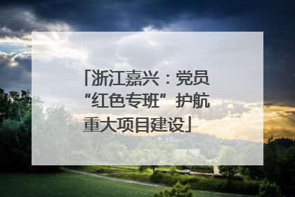 浙江嘉兴：党员“红色专班”护航重大项目建设