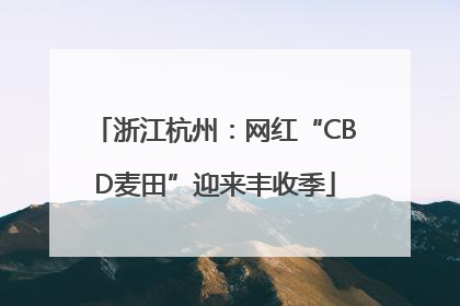 浙江杭州：网红“CBD麦田”迎来丰收季
