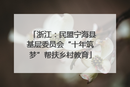 浙江：民盟宁海县基层委员会“十年筑梦”帮扶乡村教育