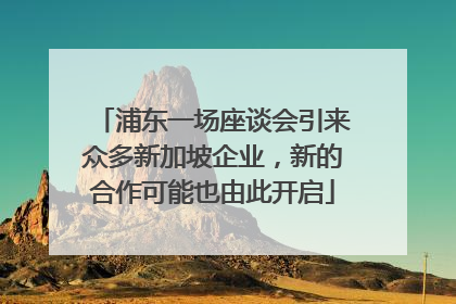 浦东一场座谈会引来众多新加坡企业，新的合作可能也由此开启